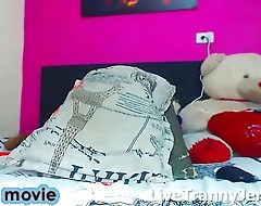 Katlatindoll webcam tranny